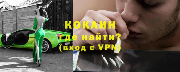 индика Богородицк