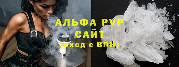 индика Богородицк