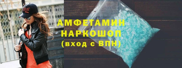 индика Богородицк