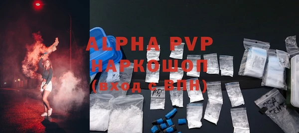 индика Богородицк
