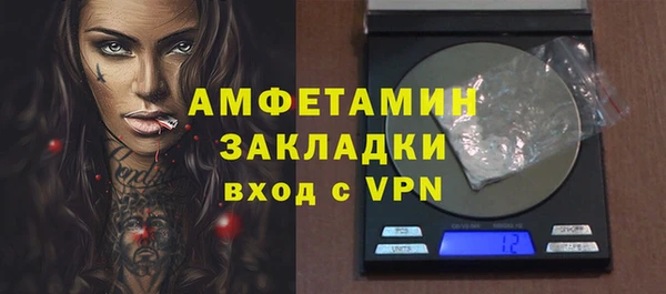 индика Богородицк