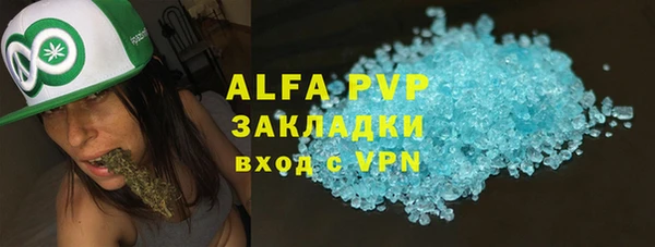 индика Богородицк