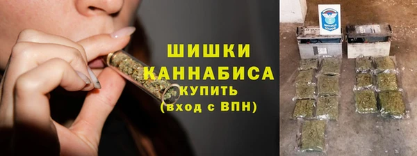индика Богородицк
