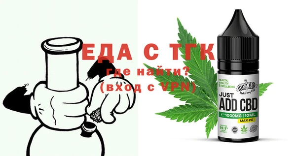 индика Богородицк