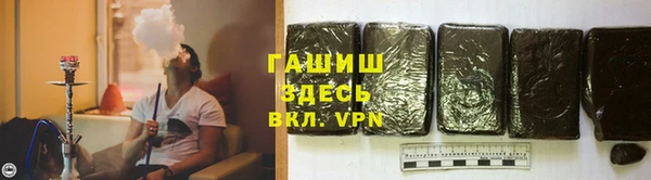 индика Богородицк