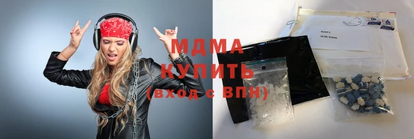 индика Богородицк