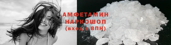 индика Богородицк