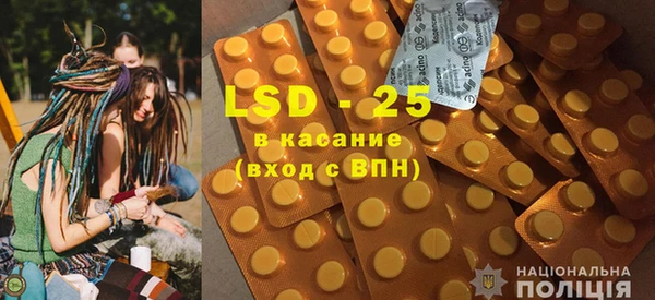 индика Богородицк