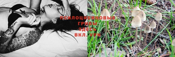 индика Богородицк