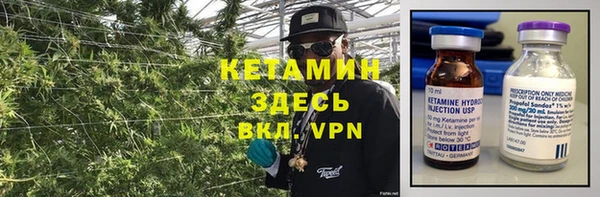 индика Богородицк