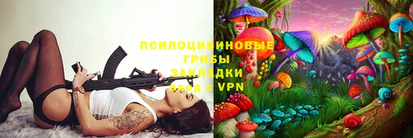 2c-b Тавда