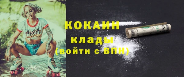 хмурый Тайга
