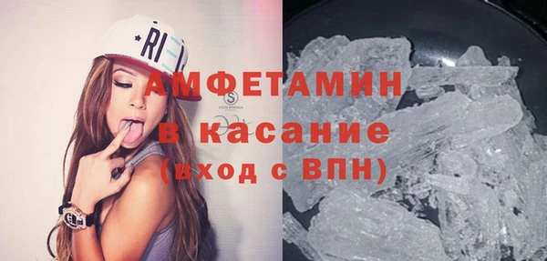 индика Богородицк