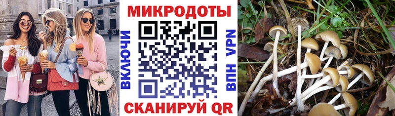 купить наркоту  Кондрово  Псилоцибиновые грибы мицелий 